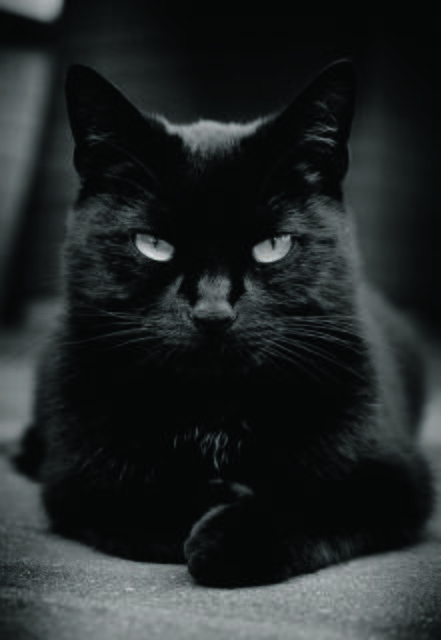 Wunderschön: Mia aus Neu Wulmstorf | Foto: Sven Johnke