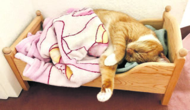 "Gute Nacht!" wünscht Lilly aus Himmelpforten | Foto: Familie Struwe