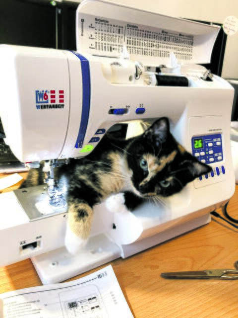 Fleißiges Lieschen: Elly aus Heidenau | Foto: Karina Fricke