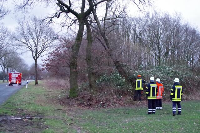 Einsatzkräfte der Ortsfeuerwehr Heinbockel beseitigen am Samstag einen umsturzgefährdeten Baum an der Kreisstraße 72 zwischen Heinbockel und Oldendorf (Sunder Straße) | Foto: Rolf Hillyer-Funke / Feuerwehren Samtgemeinde Oldendorf-Himmelpforten