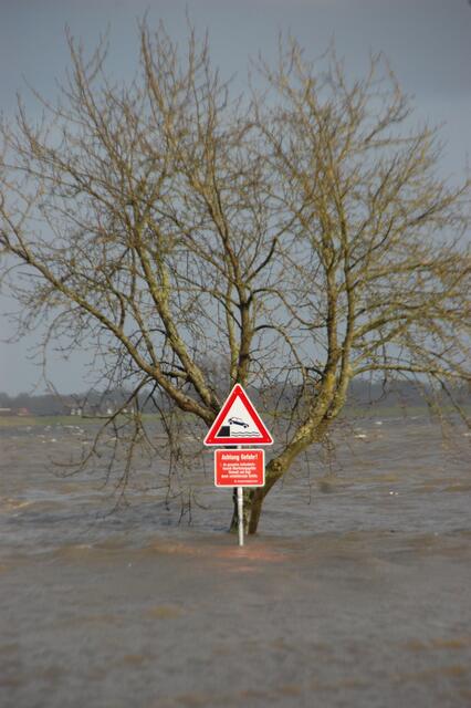 Am Sonntagmittag erreichte das Hochwasser an der Elbe einen Stand von 2,2 Meter über dem normanlen Hochwasser | Foto: sla