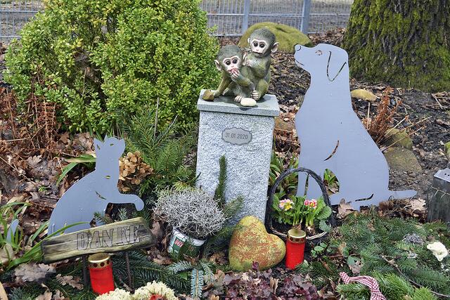 Die Affenskulptur, die Tierschützer zum Ende der LPT-Tierversuche als Mahnmal auf der anderen Straßenseite des früheren Tierversuchslabors aufgestellt haben, steht jetzt direkt in der Einfahrt des Tierzentrums | Foto: bim