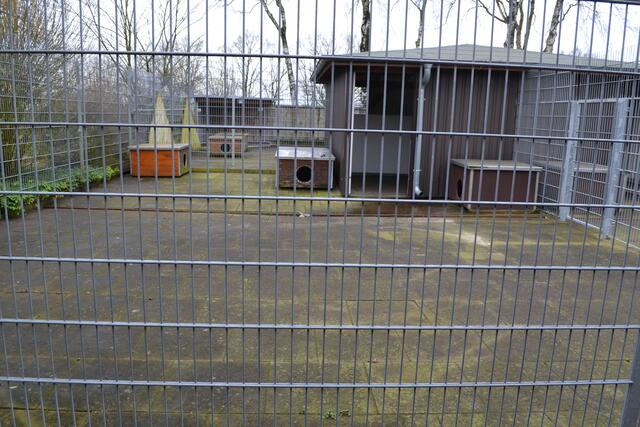 Einer der Hunde-Ausläufe | Foto: bim