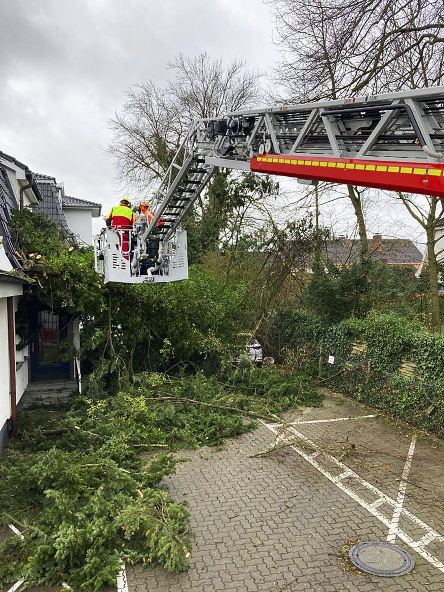 Auch Landkreis Harburg ist betroffen Orkantief "Ylenia" wütet in