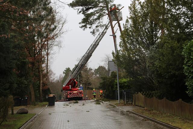 Foto: Matthias Köhlbrandt