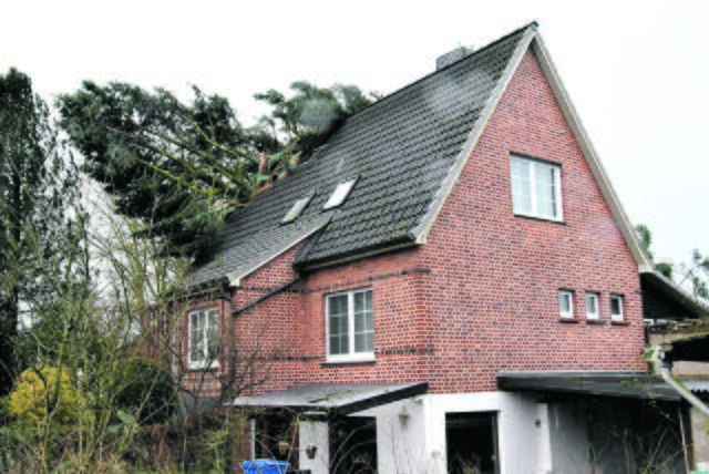 In der Gödenstorfer Bahnhofsstraße zerschmetterte eine Kiefer Dachstuhl und Giebelwand eines Einfamilienhauses | Foto: Feuerwehr Salzhausen