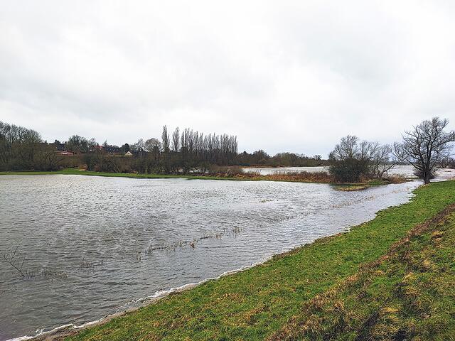 Land unter am Achterdeich in Stelle, wo sonst Wiesen sind | Foto: thl