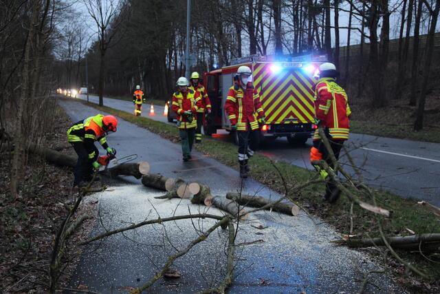 Viel zu tun hatte auch die Freiwillige Feuerwehr Seevetal | Foto: Matthias Köhlbrandt