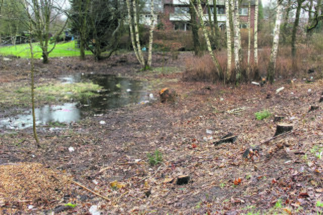 Der Inhalt Gelber Säcke an der Kreuzung Bremer Straße/Steinbecker Mühlenweg | Foto: lm
