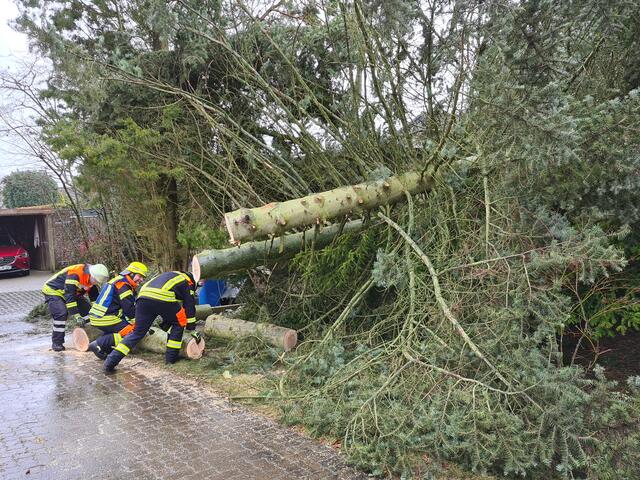 Foto: Matthias Köhlbrandt