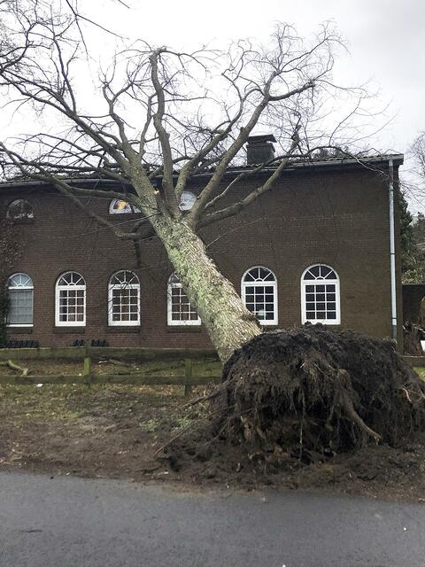 In der Moorstraße in Welle stürzte ein Baum auf ein Haus | Foto: Schröder