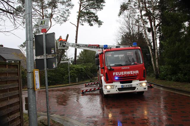 Foto: Matthias Köhlbrandt