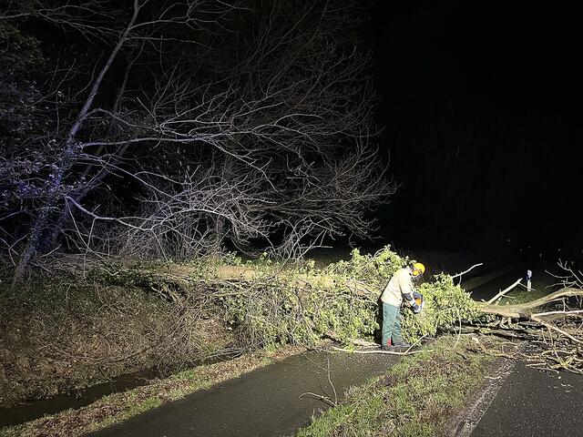 Ein Einsatz auf der L141 | Foto: Feuerwehr Tostedt