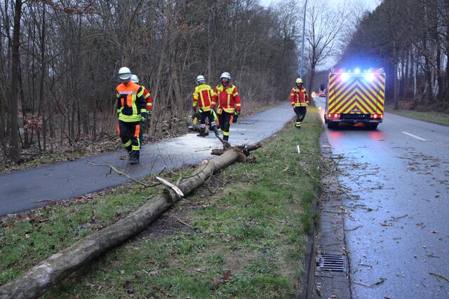 Foto: Matthias Köhlbrandt