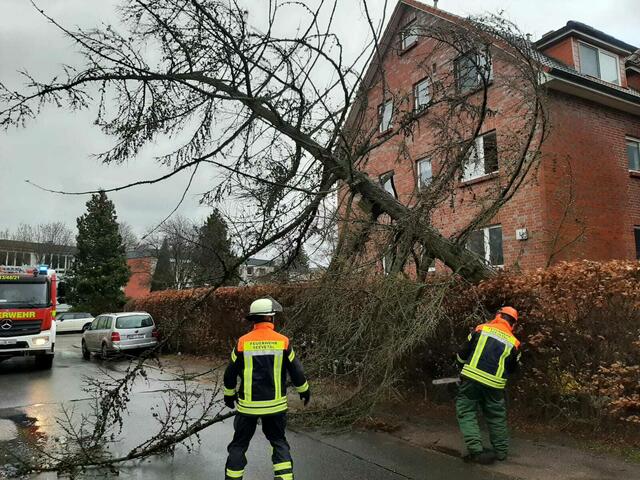 Foto: Matthias Köhlbrandt