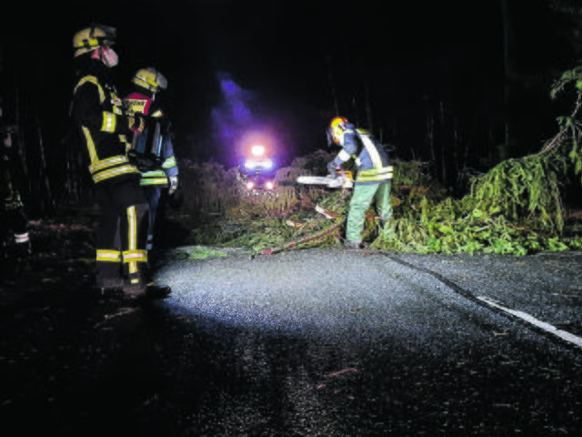Ein Baum stürzte auf die Immenbecker Straße | Foto: Michael Lischke