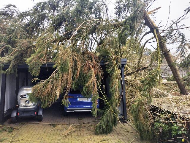 Foto: Matthias Köhlbrandt