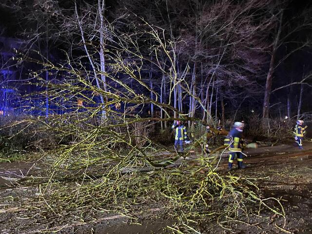Ein Baum blockiert die Hansestraße in Buxtehude | Foto: Timm Gerken / Feuerwehr Buxtehude
