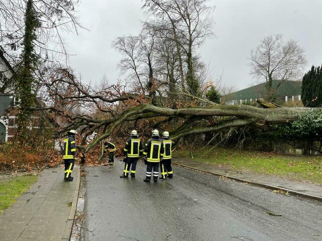 Immer wieder: Baum auf Straße. Die Feuerwehren waren bei den Orkantiefs "Ylenia" und "Zeynepp" permanent gefordert | Foto: Feuerwehr Agathenburg