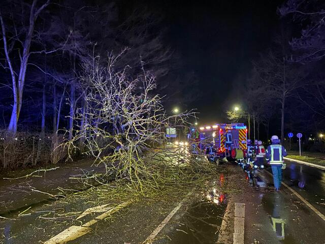 Foto: Timm Gerken / Feuerwehr Buxtehude
