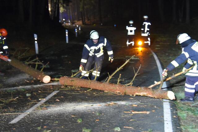 Ein weiteres Foto von den Aufräumarbeiten zwischen Garlstorf und Egestorf | Foto: Mathias Wille