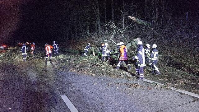 Zwischen Garlstorf und Egestorf musste die Feuerwehr umgestürzte Bäume von der Fahrbahn räumen | Foto: Mathias Wille