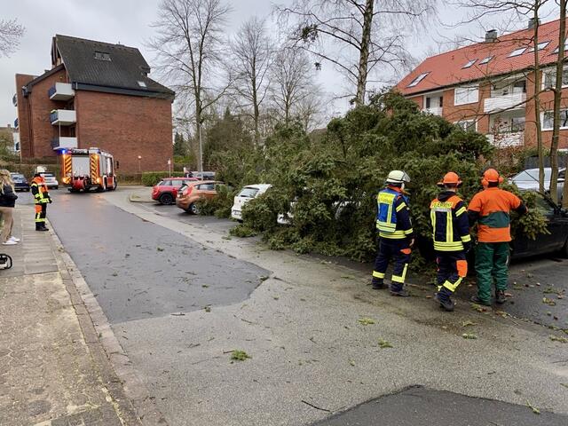 Auch Parkplätze wurden von umgekippten Bäumen in Mitleidenschaft gezogen | Foto: Pressestelle Feuerwehr Seevetal