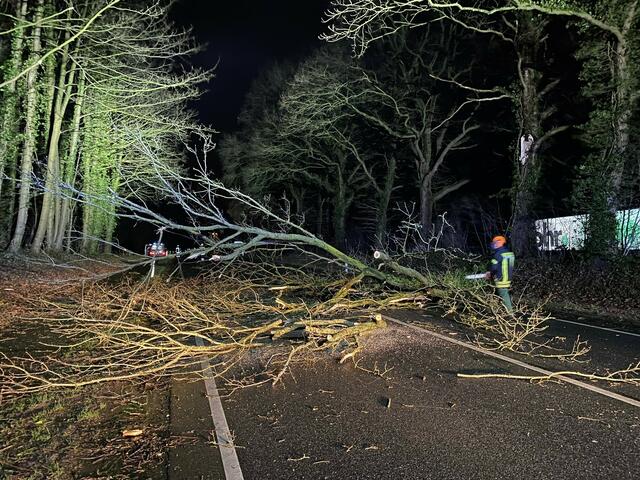 Foto: Feuerwehr Horneburg