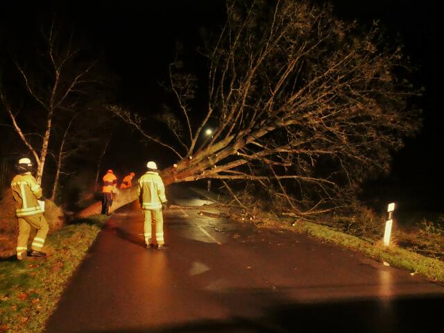 Der Baum blockierte die Norderstraße ( K27) in Bützflethermoor. Im Einsatz war die Feuerwehr Bützflethermoor | Foto: Erwin Bube