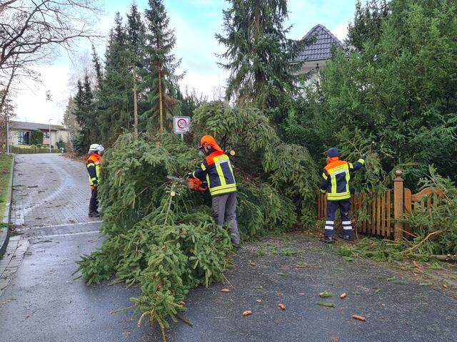 Die Feuerwehren mussten viele umgestürzte Bäume beseitigen | Foto: Pressestelle Feuerwehr Seevetal
