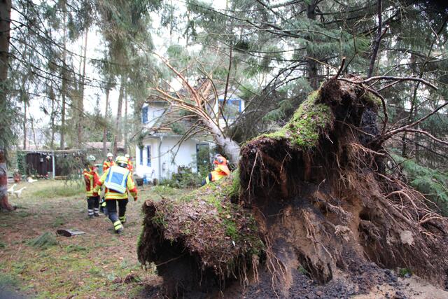 Im Alten Postweg in Maschen fiel eine massive Kiefer auf ein Wohnhaus und verursachte größere Schäden | Foto: Pressestelle Feuerwehr Seevetal