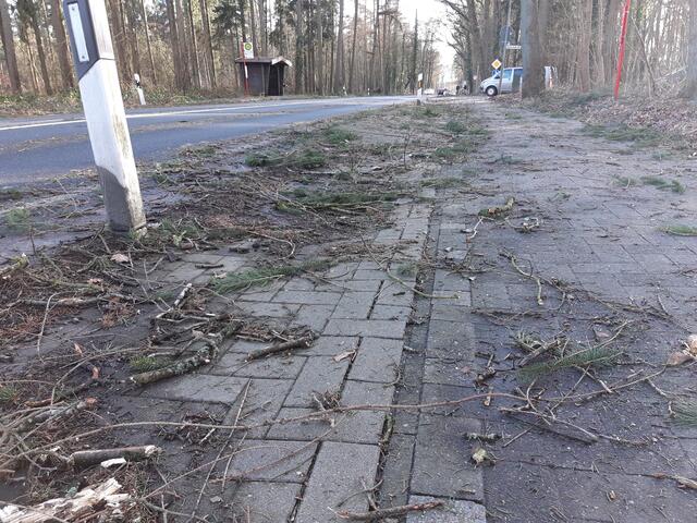 Nach dem Sturm säumen von den Bäumen heruntergewehte Äste die Hamburger Straße in Buchholz | Foto: os