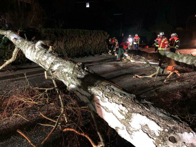 Auf vielen Straßen versperrten umgekippte Bäume die Fahrbahn | Foto: Pressestelle Feuerwehr Seevetal