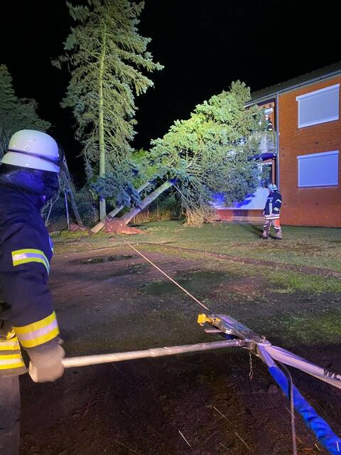 Auch der Orkan in der Nacht vom 18. Auf den 19.02.2022 brachte wieder viele Einsätze für die Kamerad:innen der Freiwilligen Feuerwehren der Samtgemeinde Horneburg mit sich.Es gab 18 sturmbedingte Einsätze.Es  stürzten wieder viele Bäume auf die Straßen, so auch auf die B73, die zeitweise dadurch blockiert war. Gleich zwei Bäume stürzten auf ein Mehrfamilienhaus. | Foto: Feuerwehr Horneburg