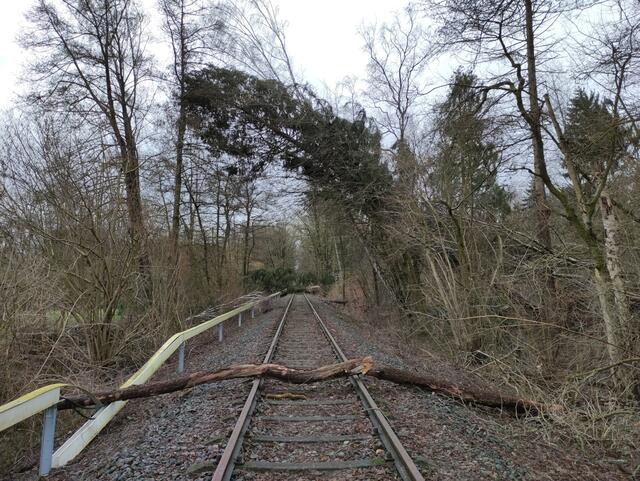 Die Bahnstrecke an der Triftstraße in Tostedt wurde durch einen umgestürzten Baum blockiert | Foto: Bettina Horstmann
