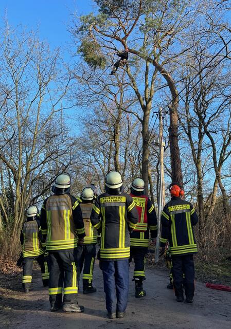In Jesteburg am Osterberg drohte eine Baumkrone zu fallen und wurde von der Feuerwehr beseitigt | Foto: Susanne Laska