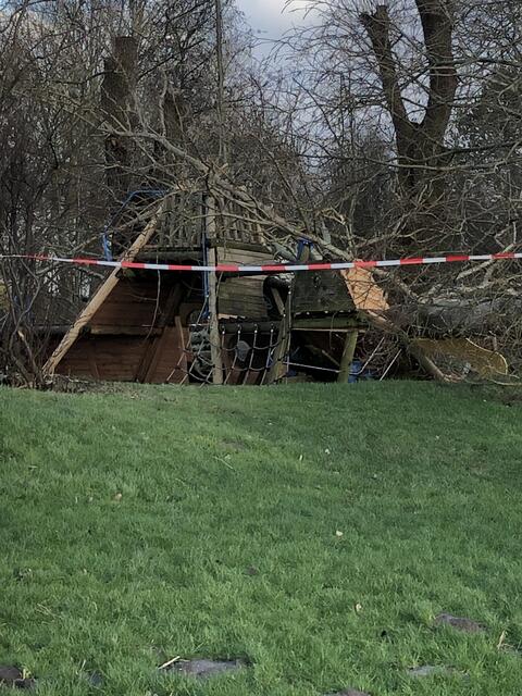 Wie gut, dass kein Kind in der Nähe war. Ein riesiger Baum am See in Otterndorf (Landkreis Cuxhaven) war in dieses Spielgerät gestürzt | Foto: cbh