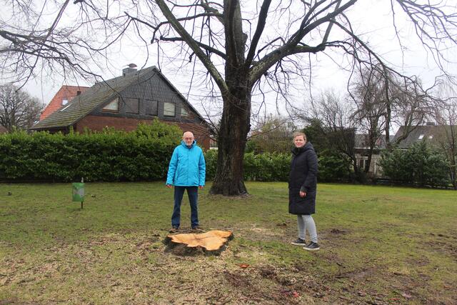 Peter Löwel und Anneke Möker kritisieren zum einen, dass die Kastanie ohne Rücksprache mit Naturschutzamt und Gemeinde-Rat erfolgte, und stellen zum Zweiten die Notwendigkeit der Baumfällung in Frage | Foto: wd