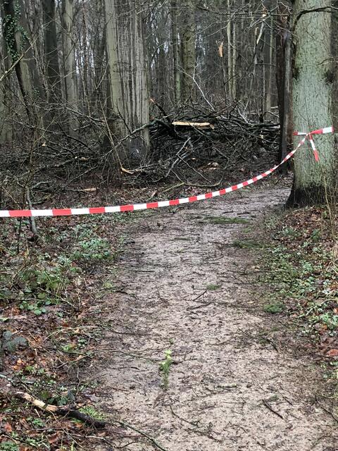Der Zugang zum Wäldchen in Agathenburg (gegenüber der Kupferschmiede) ist abgesperrt. Umgestürzte Bäume überall. Zweige und Äste waren bis über die Bundesstraße verstreut | Foto: cbh