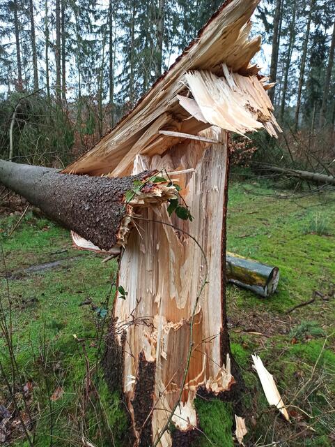 Michela Bachorz schickte Fotos von ihrer Laufstrecke zwischen Welle und Ottermoor | Foto: Bachorz