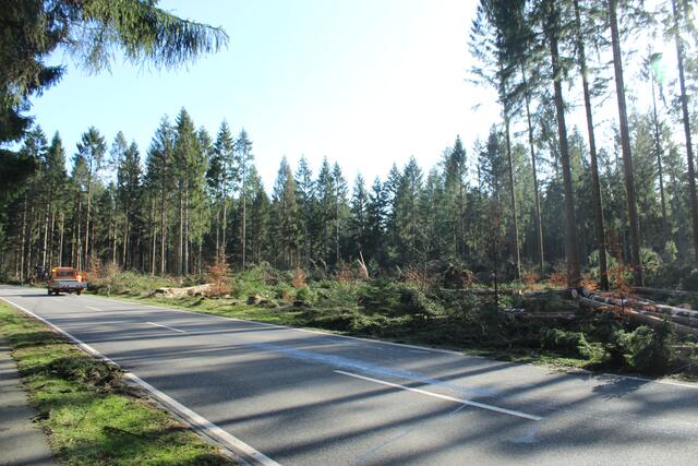 An der Bendestorfer Straße musste ein Großteil des Klecker Waldes gefällt werden  | Foto: lm 