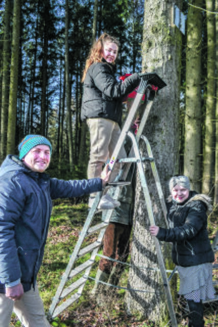 Lehrer Mathias Neumann und Jana hielten die Leiter, damit Jana den Nistkasten befestigen konnte | Foto: bim