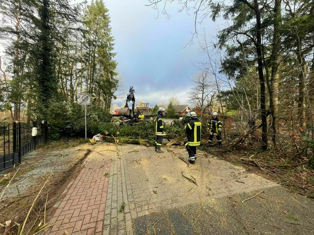 Feuerwehrleute und Bauhofmitarbeiter waren rund um die Uhr im Einsatz, um die Straßen freizuräumen  | Foto: Feuerwehr Samtgemeinde Jesteburg