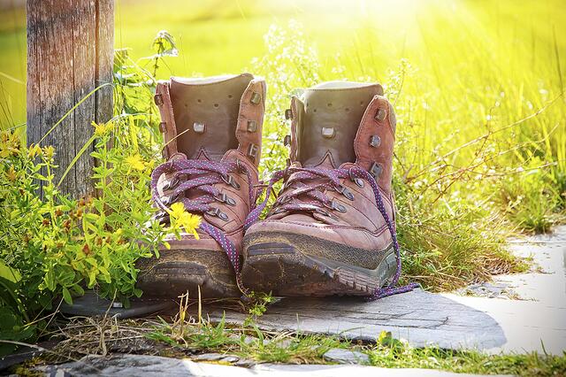 Foto: Adobestock / Jürgen Fälchle