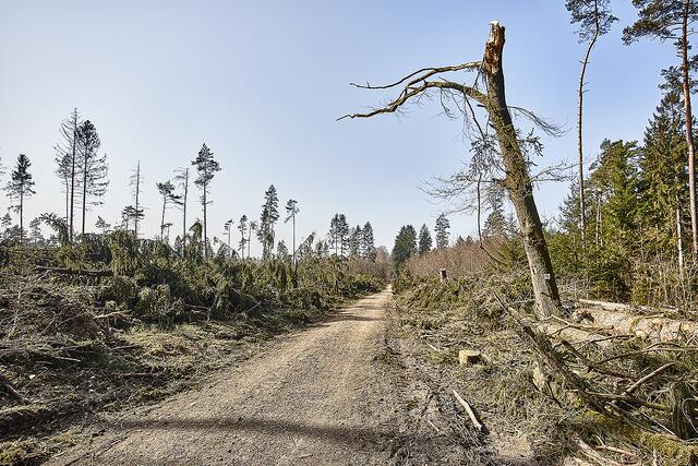 ... und so sah es im März 2022 aus | Foto: Heinrich Helms