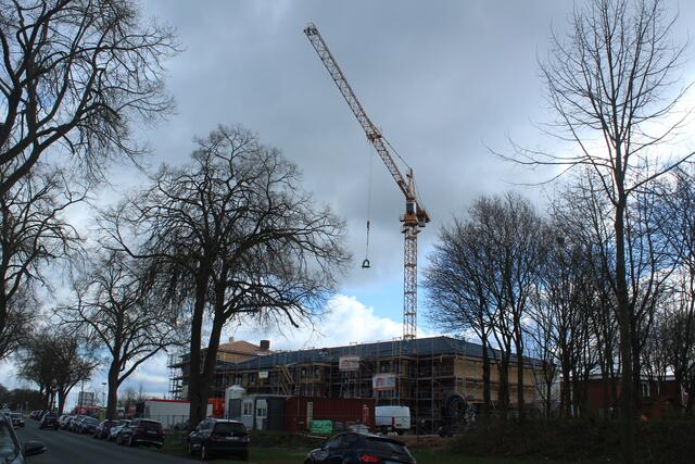 Der Königshof in Harsefeld