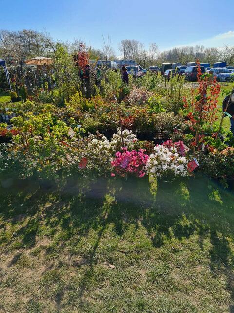 Foto: Kranzbinder/S.Stresow