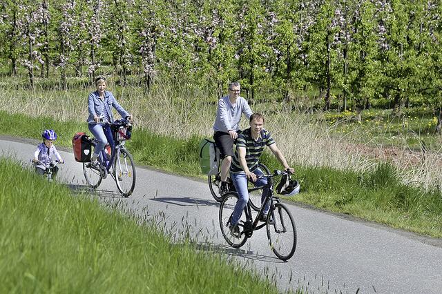 Im Landkreis Stade gibt es viele malerische Radwege | Foto: Photocompany