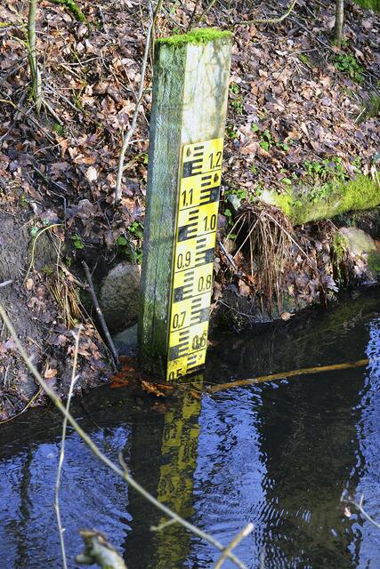 Der Bachzulauf zu den Forellenteichen in Handeoh-Wörme führt nur noch 50 Zentimeter Wasser. Früher sei es ein Drittel mehr gewesen, sagt der Eigentümer | Foto: bim