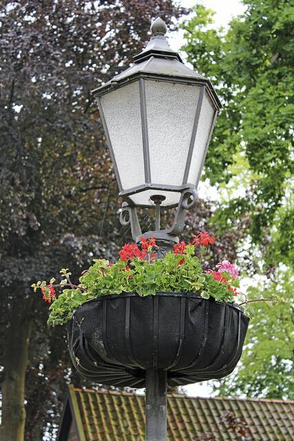 Eine der vom "Rentner-Team" aufgestellten Blumenampeln | Foto: ce